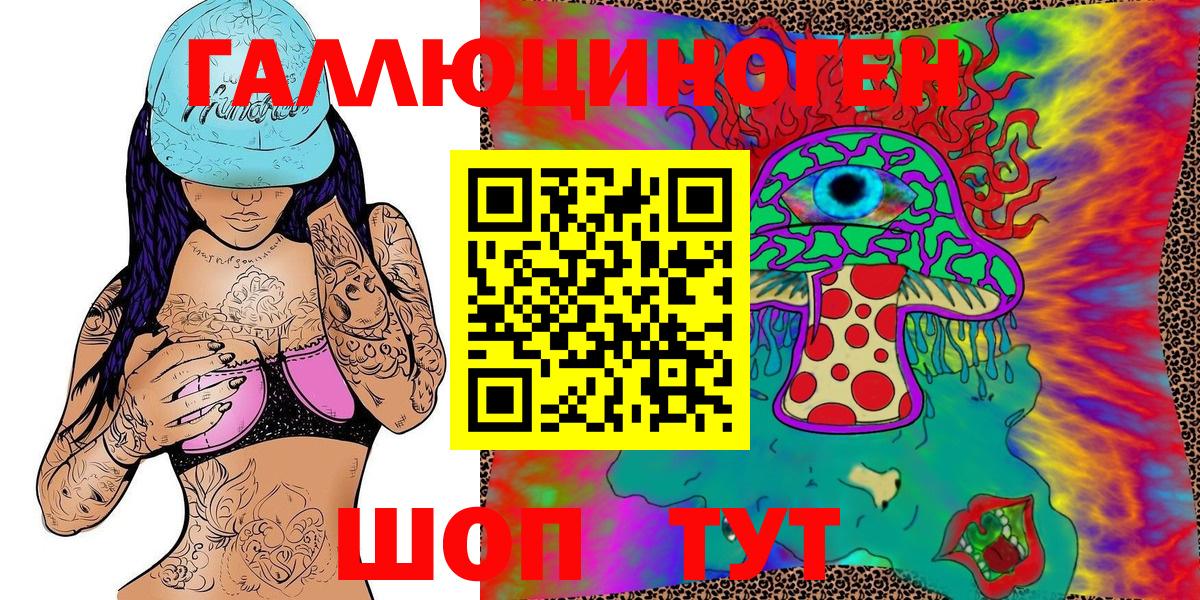 Киреевск  где продают наркотики  Вход с VPN  Галлюциногенные грибы Psilocybine cubensis 